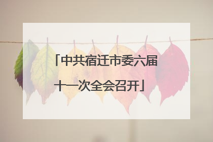 中共宿迁市委六届十一次全会召开