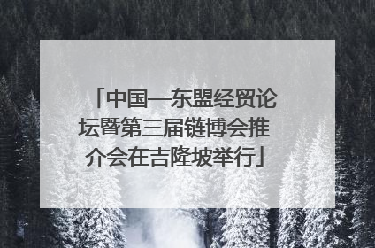 中国—东盟经贸论坛暨第三届链博会推介会在吉隆坡举行