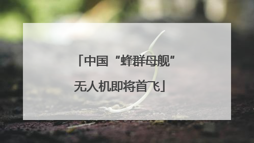 中国“蜂群母舰”无人机即将首飞