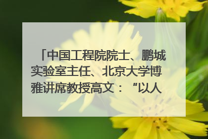中国工程院院士、鹏城实验室主任、北京大学博雅讲席教授高文：“以人为本 智能向善” 推动文化与科技相生相促｜聚焦2025文化强国建设高峰论坛