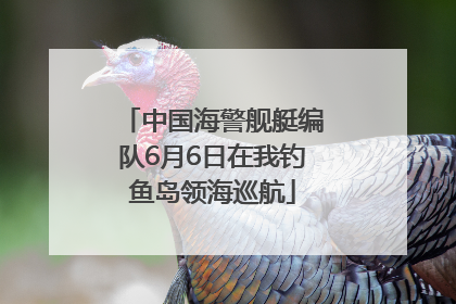 中国海警舰艇编队6月6日在我钓鱼岛领海巡航