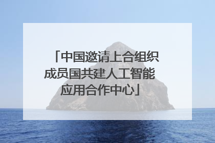 中国邀请上合组织成员国共建人工智能应用合作中心