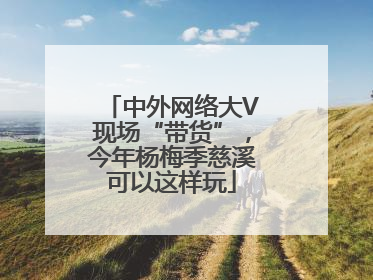 中外网络大V现场“带货”，今年杨梅季慈溪可以这样玩