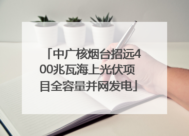 中广核烟台招远400兆瓦海上光伏项目全容量并网发电