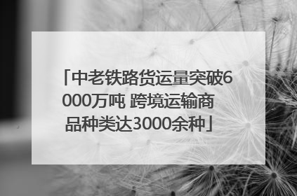 中老铁路货运量突破6000万吨 跨境运输商品种类达3000余种