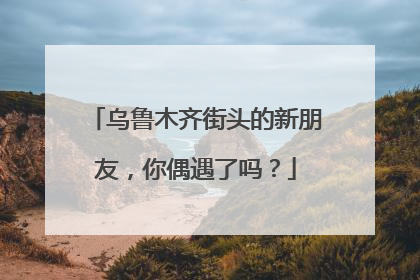 乌鲁木齐街头的新朋友，你偶遇了吗？