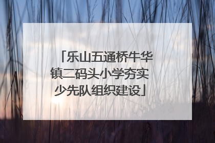乐山五通桥牛华镇二码头小学夯实少先队组织建设