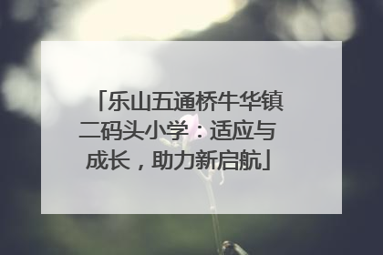 乐山五通桥牛华镇二码头小学：适应与成长，助力新启航