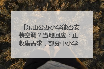乐山公办小学能否安装空调？当地回应：正收集需求，部分中小学已启动安装｜云求助