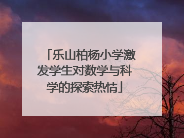 乐山柏杨小学激发学生对数学与科学的探索热情