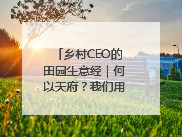 乡村CEO的田园生意经｜何以天府？我们用粮食作答④