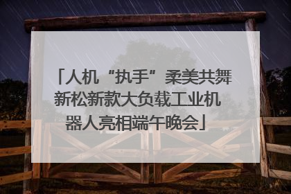 人机“执手”柔美共舞 新松新款大负载工业机器人亮相端午晚会
