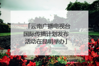 云南广播电视台国际传播计划发布活动在昆明举办