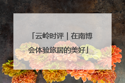 云岭时评｜在南博会体验旅居的美好