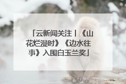 云新闻关注丨《山花烂漫时》《边水往事》入围白玉兰奖