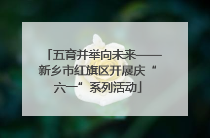 五育并举向未来——新乡市红旗区开展庆“六一”系列活动