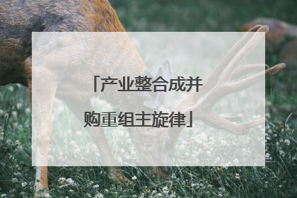 产业整合成并购重组主旋律