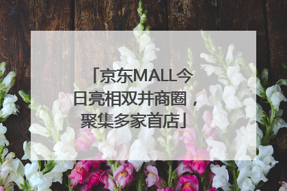 京东MALL今日亮相双井商圈，聚集多家首店