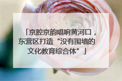 京腔京韵唱响黄河口，东营区打造“没有围墙的文化教育综合体”