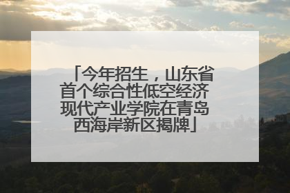 今年招生，山东省首个综合性低空经济现代产业学院在青岛西海岸新区揭牌