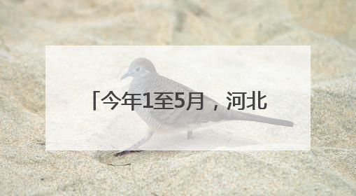 今年1至5月，河北对中亚五国进出口总值同比增长1.1倍