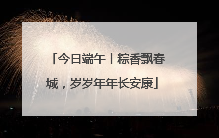 今日端午丨粽香飘春城，岁岁年年长安康