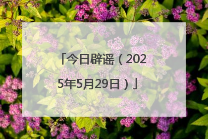 今日辟谣（2025年5月29日）