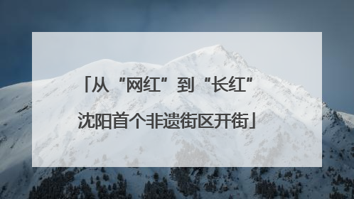 从“网红”到“长红” 沈阳首个非遗街区开街