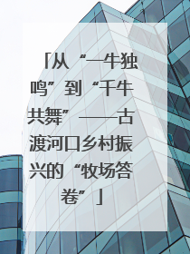 从“一牛独鸣”到“千牛共舞”——古渡河口乡村振兴的“牧场答卷”