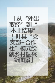 从“外出取经”到“本土结果”！叶县“党支部+合作社”模式绘就乡村振兴新图景