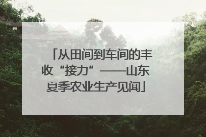 从田间到车间的丰收“接力”——山东夏季农业生产见闻