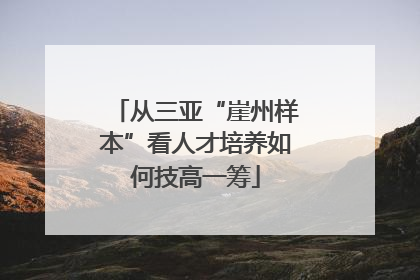 从三亚“崖州样本”看人才培养如何技高一筹
