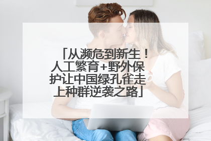 从濒危到新生！人工繁育+野外保护让中国绿孔雀走上种群逆袭之路