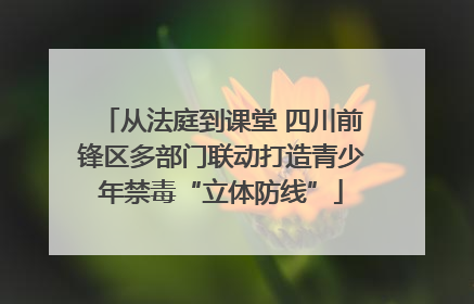 从法庭到课堂 四川前锋区多部门联动打造青少年禁毒“立体防线”