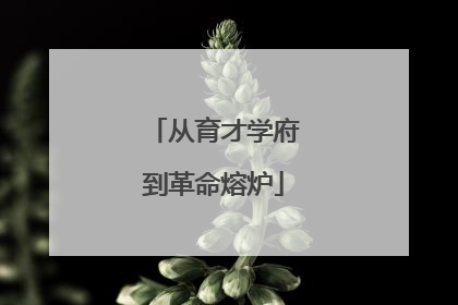 从育才学府到革命熔炉