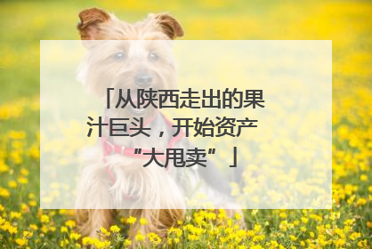 从陕西走出的果汁巨头，开始资产“大甩卖”