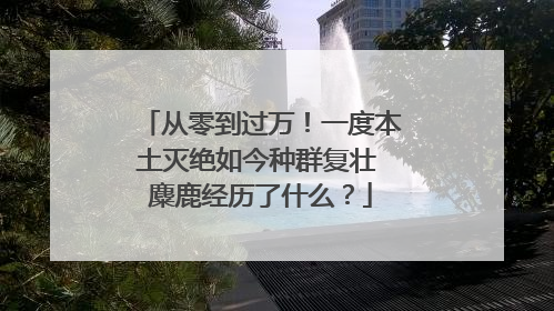 从零到过万！一度本土灭绝如今种群复壮 麋鹿经历了什么？