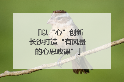 以“心”创新 长沙打造“有风景的心思政课”