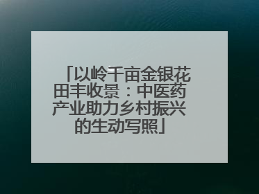 以岭千亩金银花田丰收景：中医药产业助力乡村振兴的生动写照