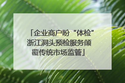 企业商户盼“体检” 浙江洞头预检服务颠覆传统市场监管