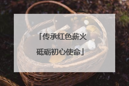 传承红色薪火 砥砺初心使命