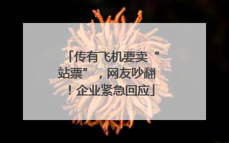 传有飞机要卖“站票”，网友吵翻！企业紧急回应