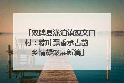 双牌县泷泊镇观文口村：粽叶飘香承古韵 乡情凝聚展新篇