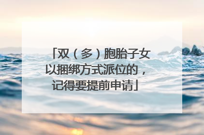 双（多）胞胎子女以捆绑方式派位的，记得要提前申请