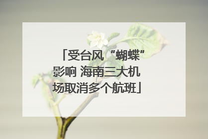 受台风“蝴蝶”影响 海南三大机场取消多个航班
