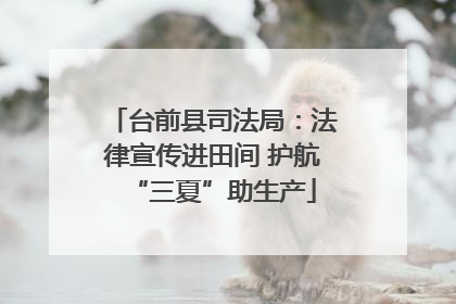 台前县司法局：法律宣传进田间 护航“三夏”助生产