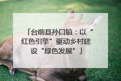 台前县孙口镇：以“红色引擎”驱动乡村建设“绿色发展”