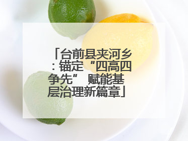 台前县夹河乡：锚定“四高四争先” 赋能基层治理新篇章