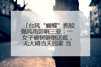 台风“蝴蝶”携较强风雨影响三亚：一女子被树砸倒送医，无大碍当天回家 当地已紧急清障