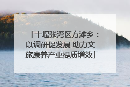 十堰张湾区方滩乡：以调研促发展 助力文旅康养产业提质增效